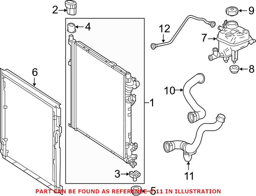 Radiator Hose